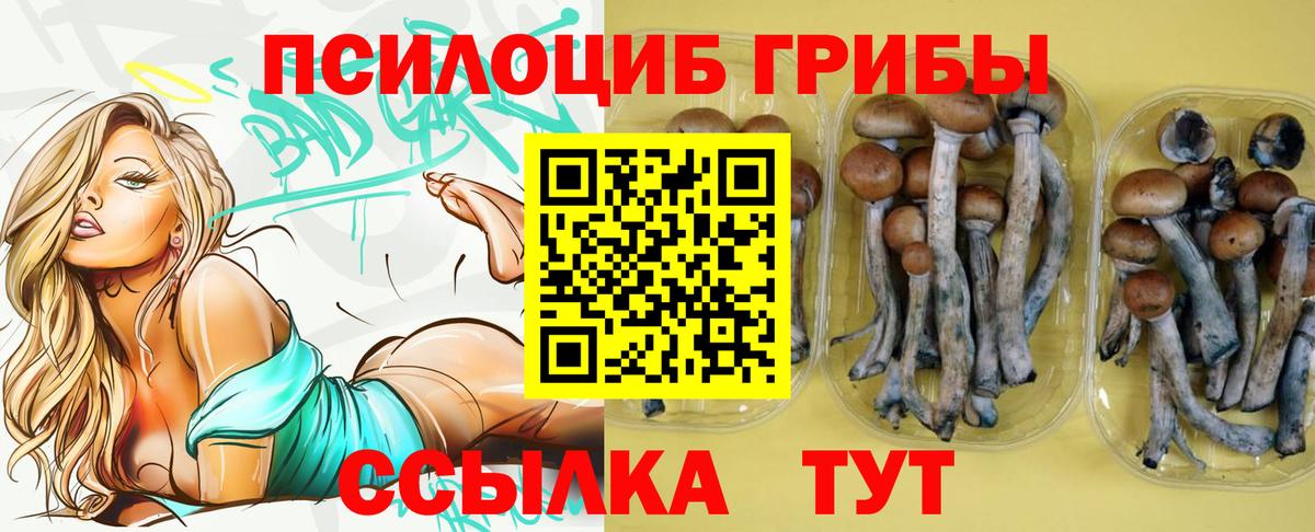 Псилоцибиновые грибы прущие грибы  Псилоцибиновые грибы прущие грибы  Вход с VPN  Красноярск 